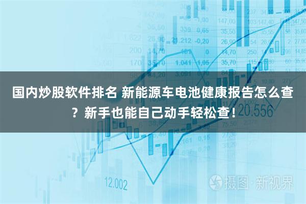 国内炒股软件排名 新能源车电池健康报告怎么查？新手也能自己动手轻松查！
