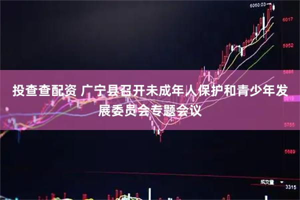 投查查配资 广宁县召开未成年人保护和青少年发展委员会专题会议